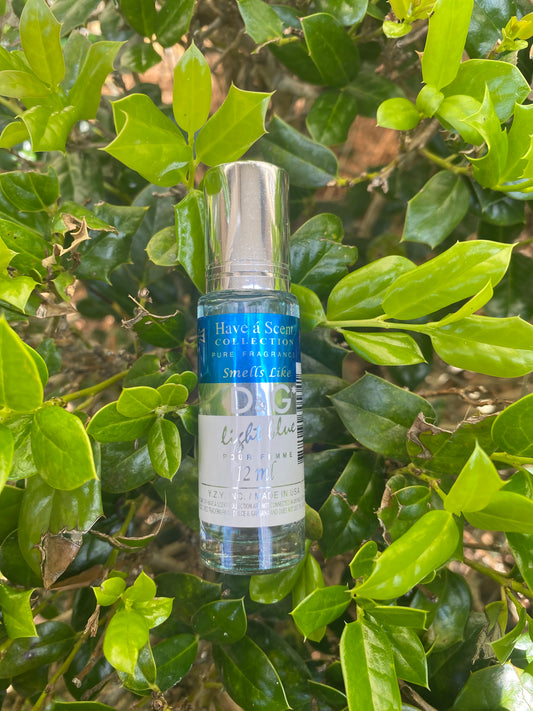 D&G light blue