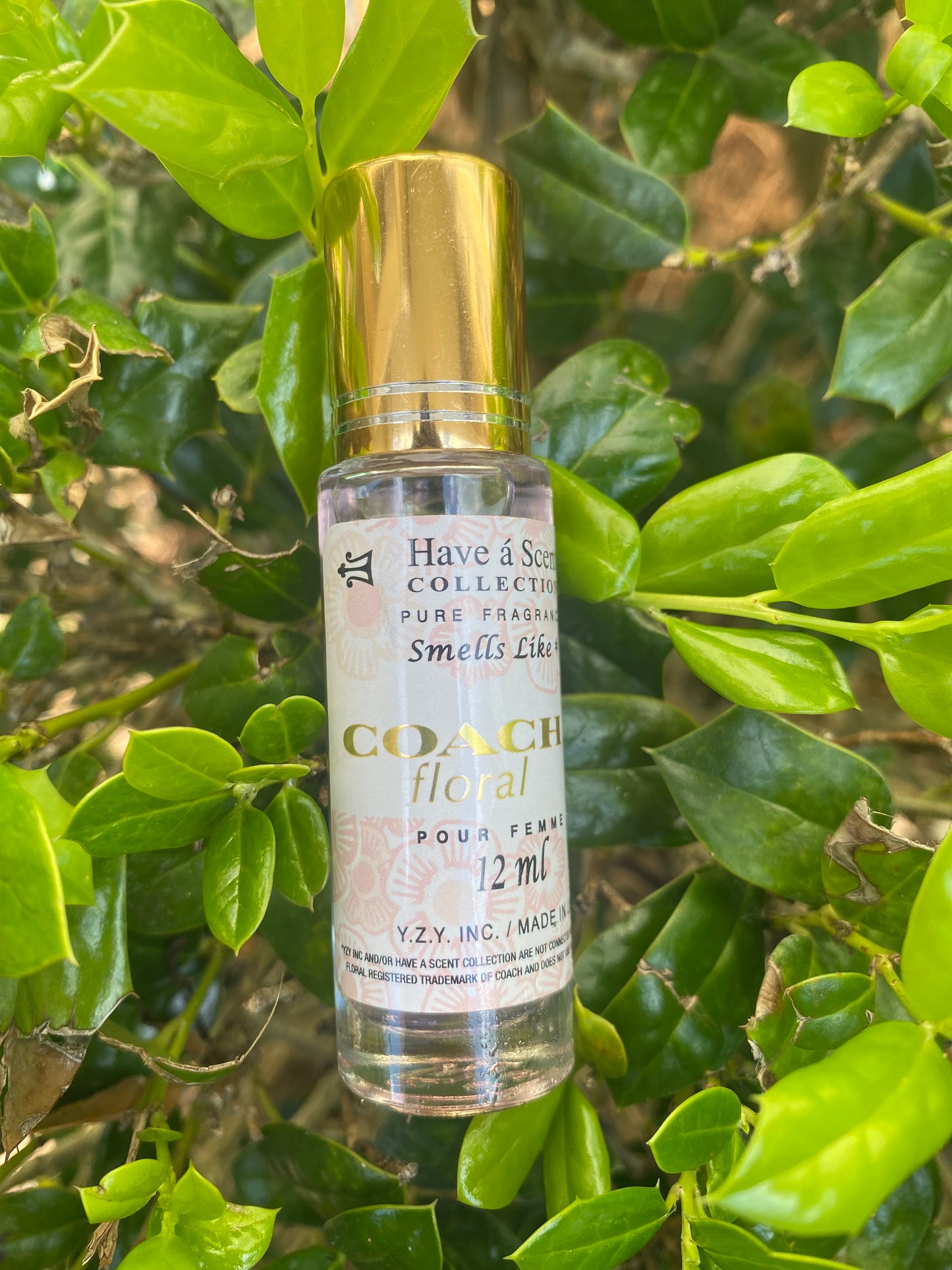 Coach floral